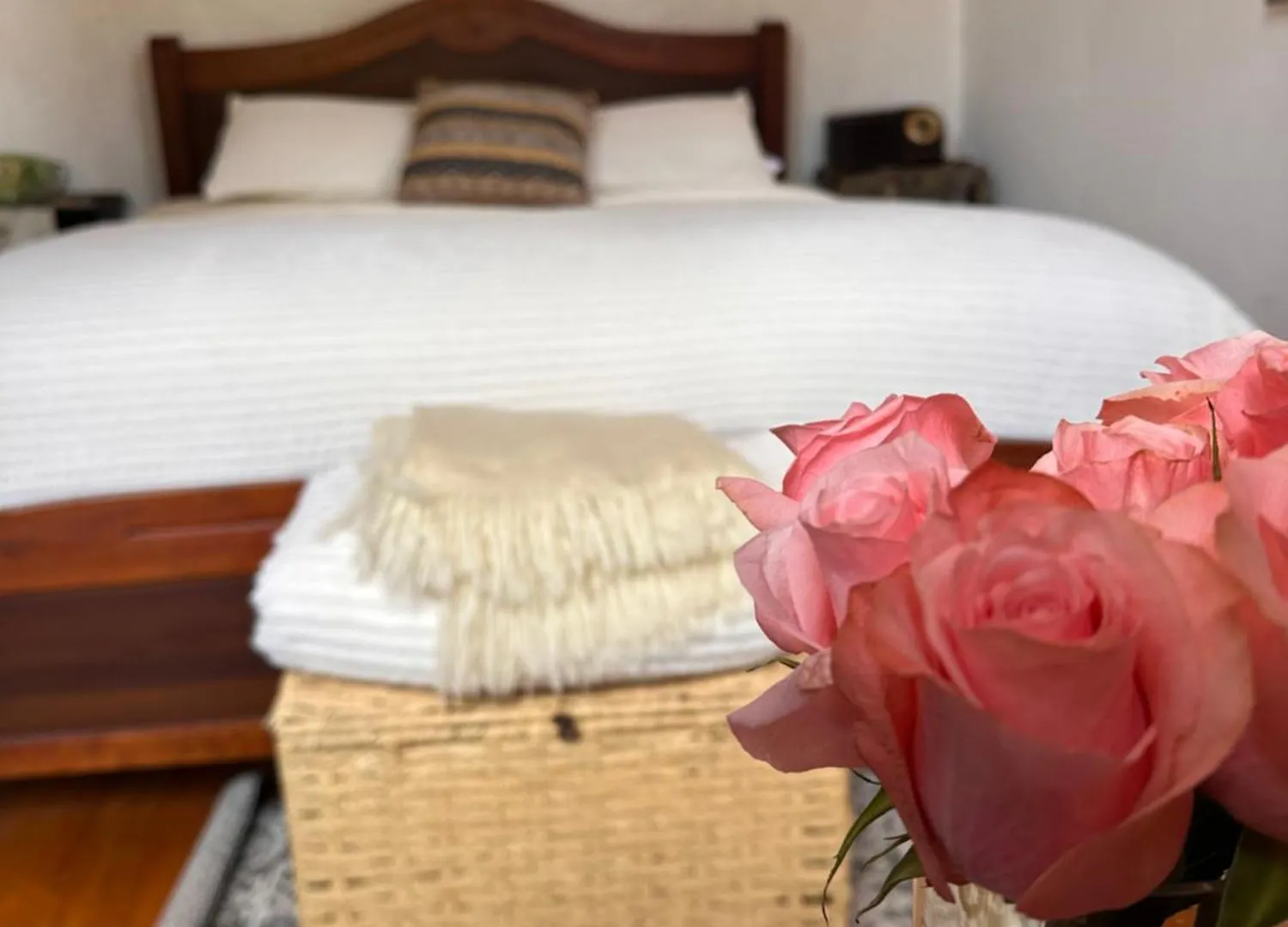 Bed and Breakfast Skema Collections Quito Ecuador