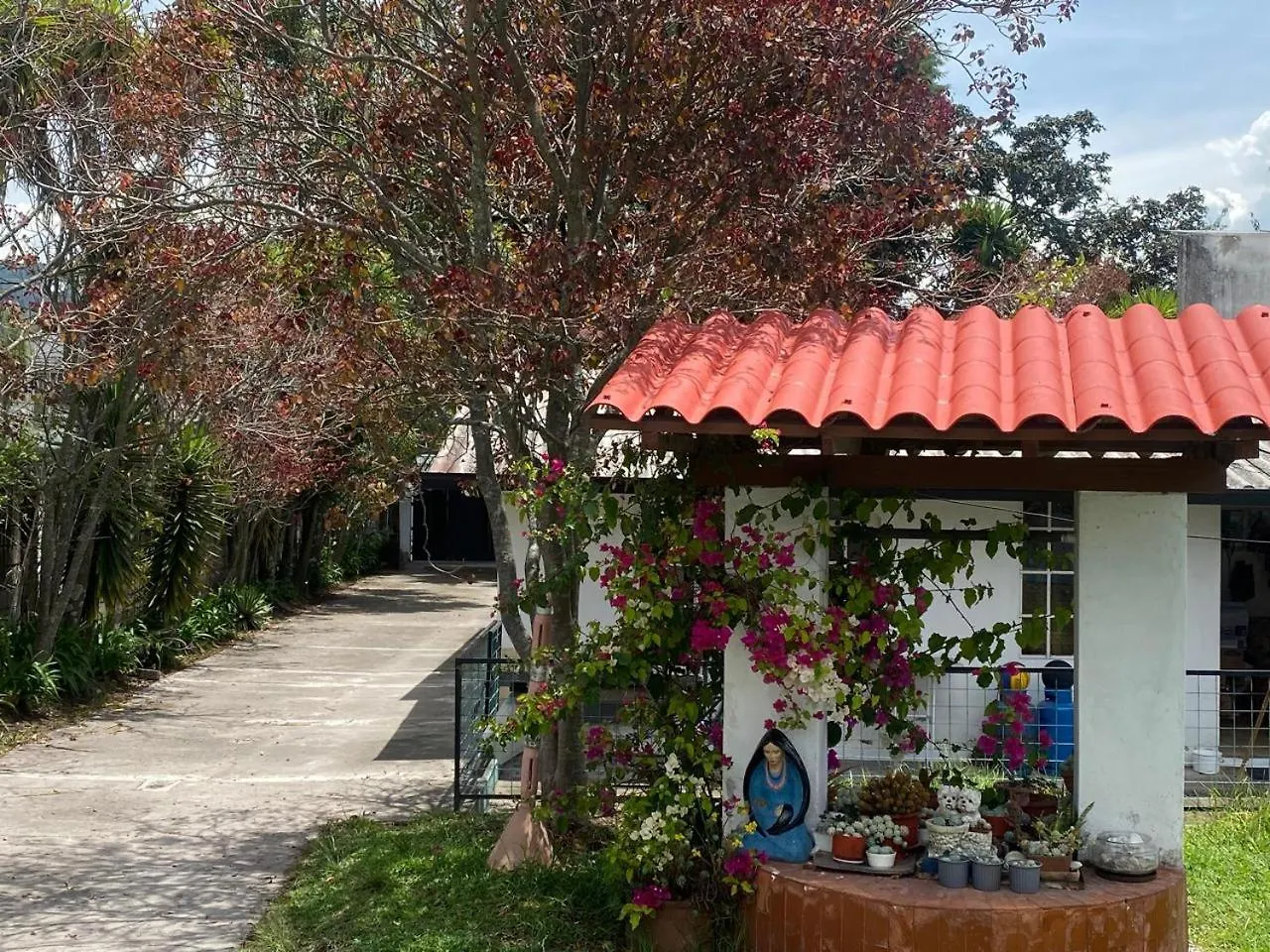Skema Collections Quito Bed & Breakfast Ecuador